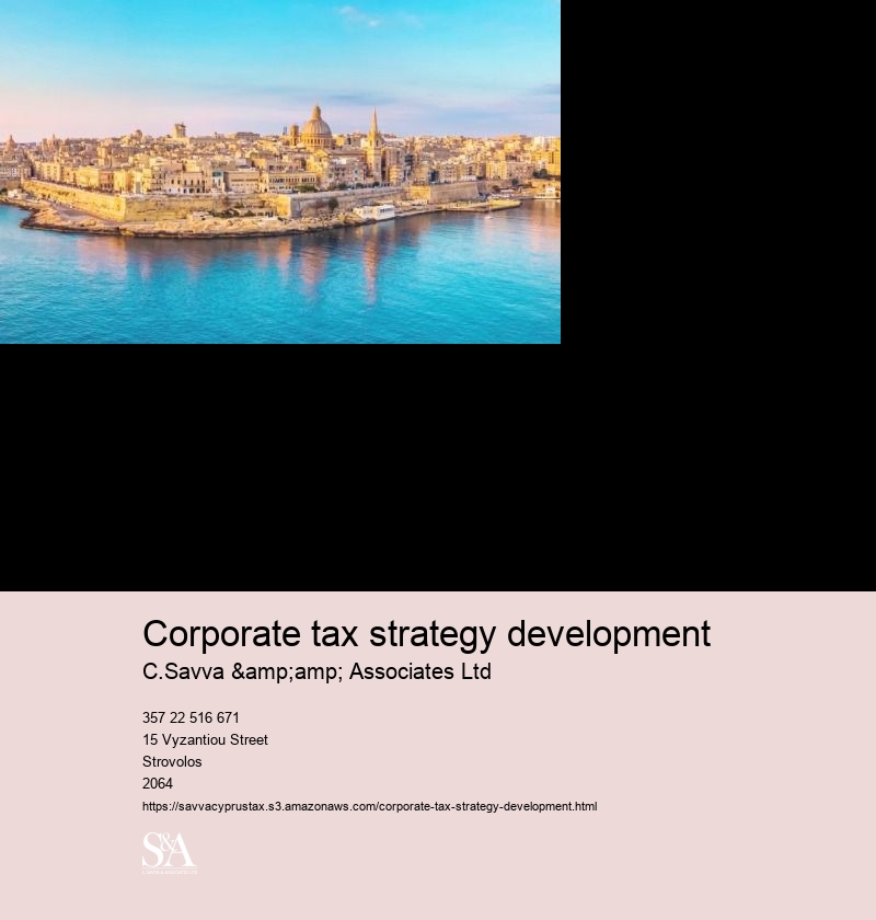 Corporate tax strategy development